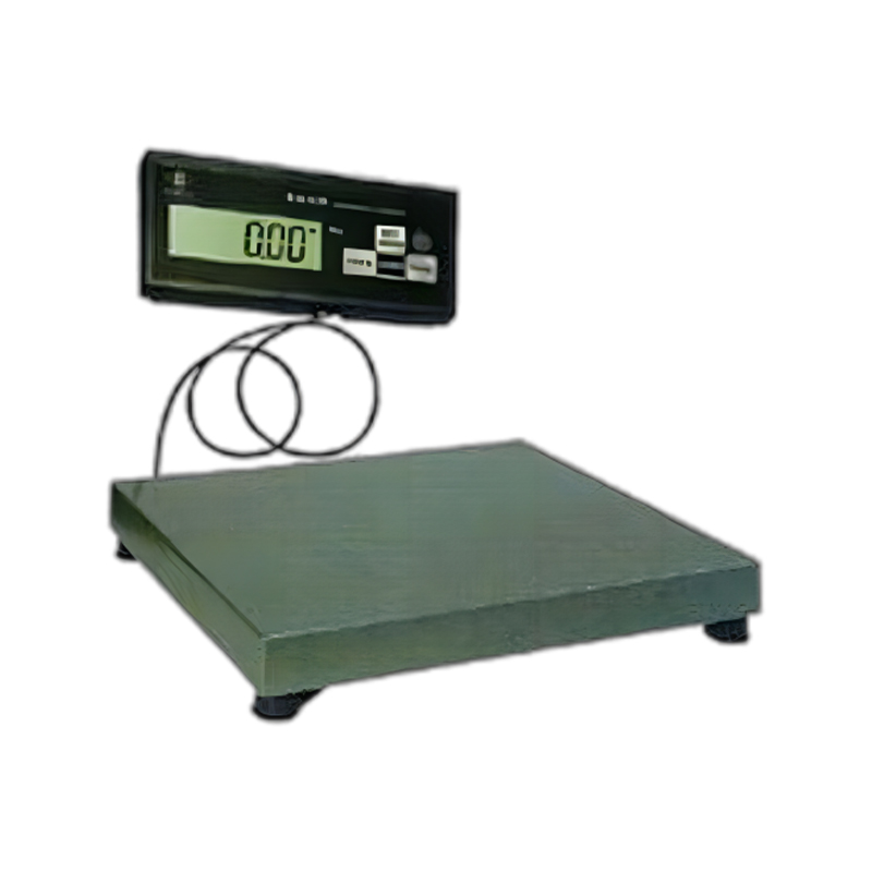 Electronic Weight Scala