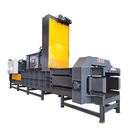 Plene Lorem vestibulum Balers